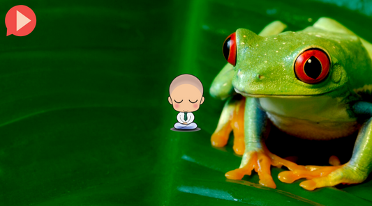Breathing Like A Frog Free Breathing Exercise