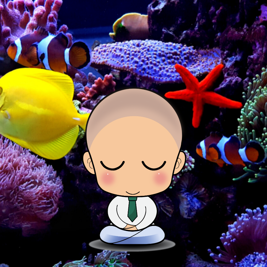 Meditation 5. A Day At The Aquarium